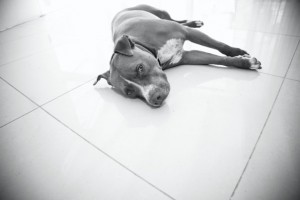 2051_47376113010_8086_n