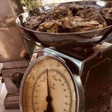 Nahjeen&Justin  Odd Fellows Hall, Orcas Island